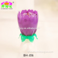 2016 New Music Candles / Flower Candles BH-J06